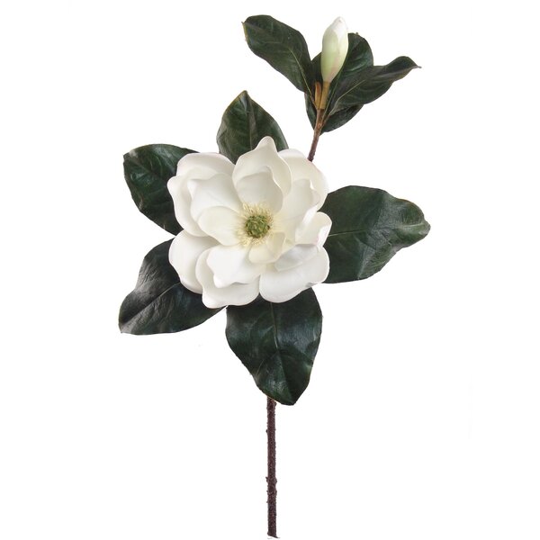 Primrue Silk Magnolia Arrangement Wayfair   Silk Magnolia Arrangement 